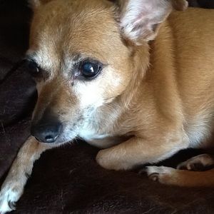 Meet your Posher, Kara